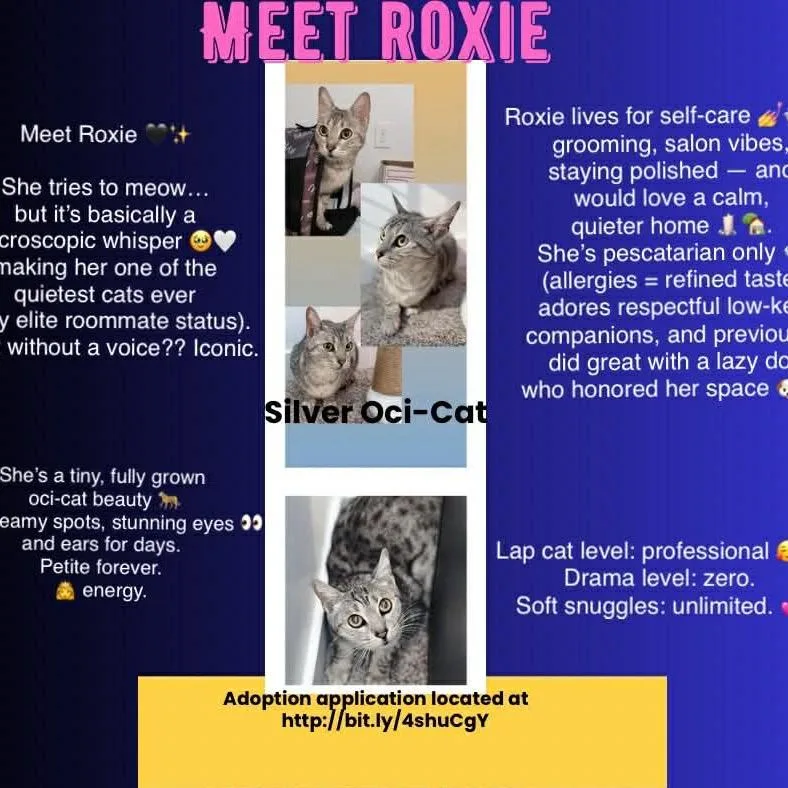 Roxie Rickard thumbnail 3