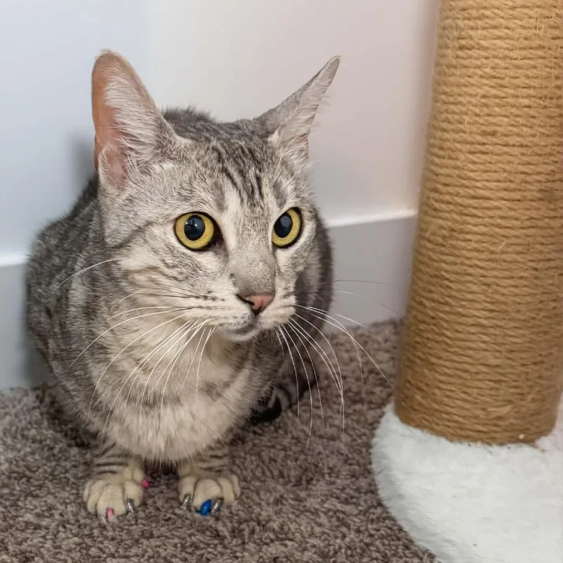 Roxie Rickard thumbnail 4