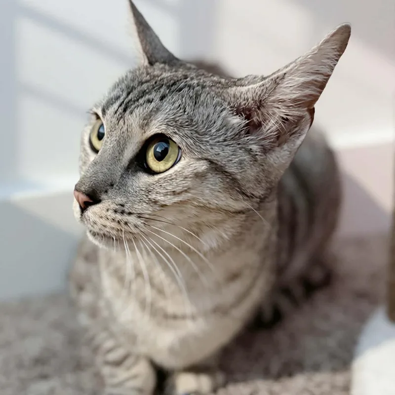 Roxie Rickard thumbnail 5