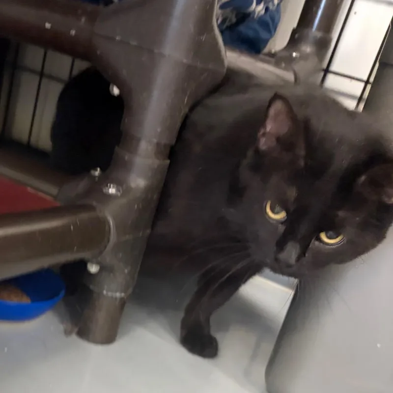 Margo thumbnail 4