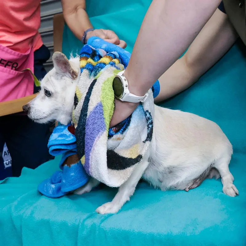 Clementine thumbnail 4