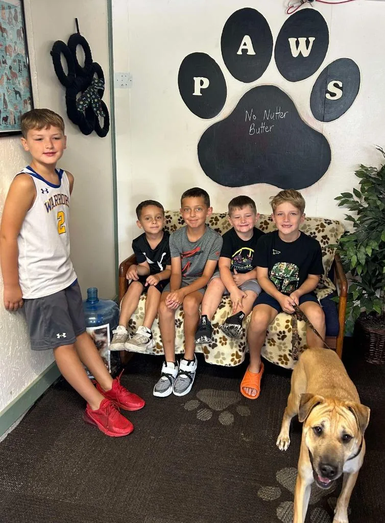 No Nutter Butter thumbnail 2