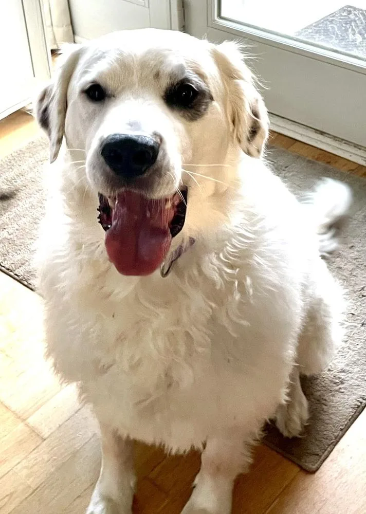 Jax