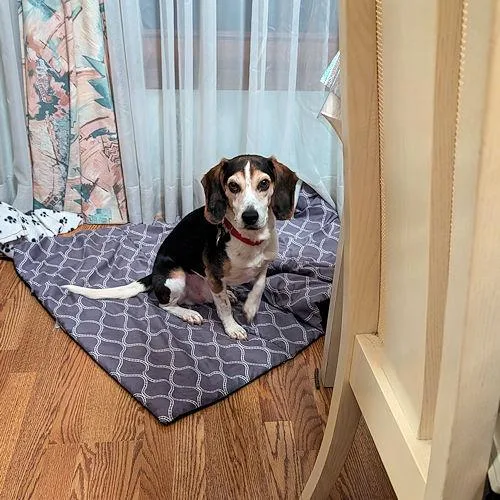 Sanders And Nora thumbnail 5