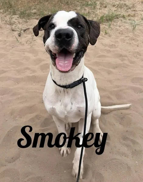 Smokey
