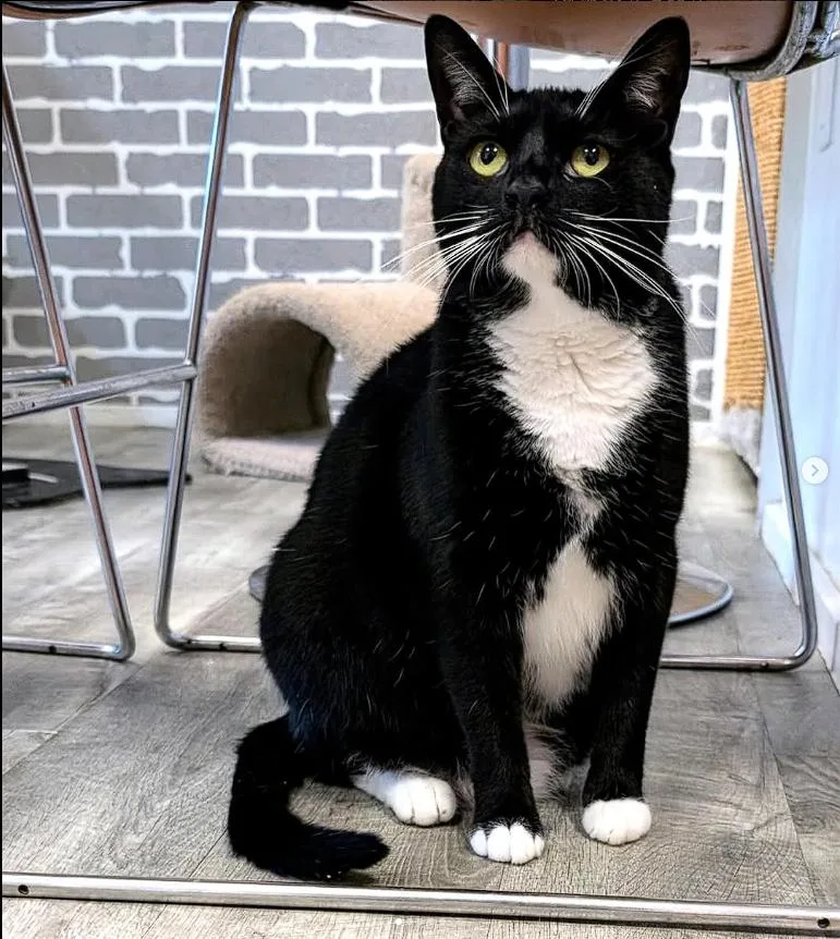 Cooper & Parker @ thumbnail 2