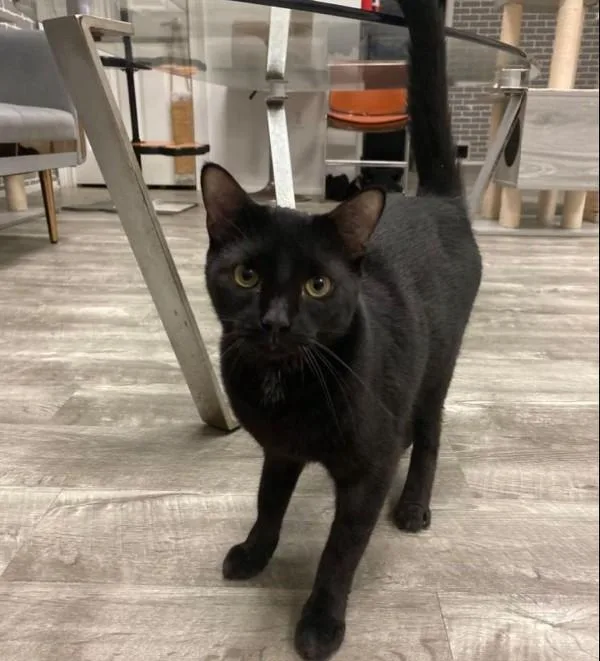 Cooper & Parker @ thumbnail 3