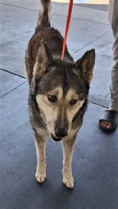 Bella
