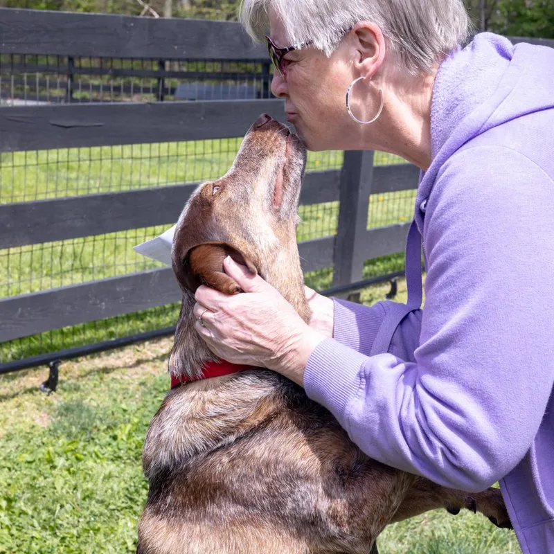 Major    thumbnail 2