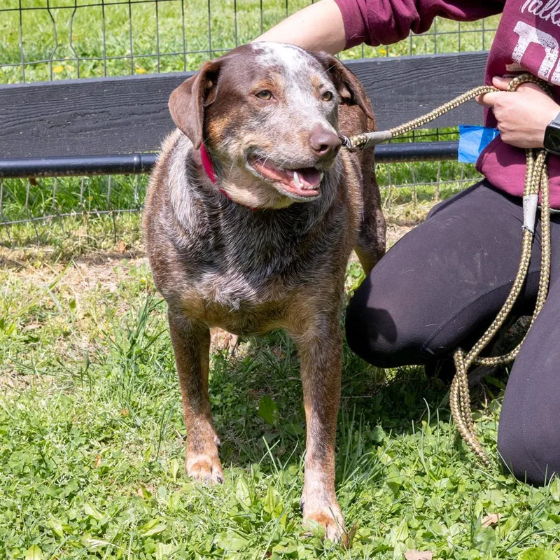 Major    thumbnail 3