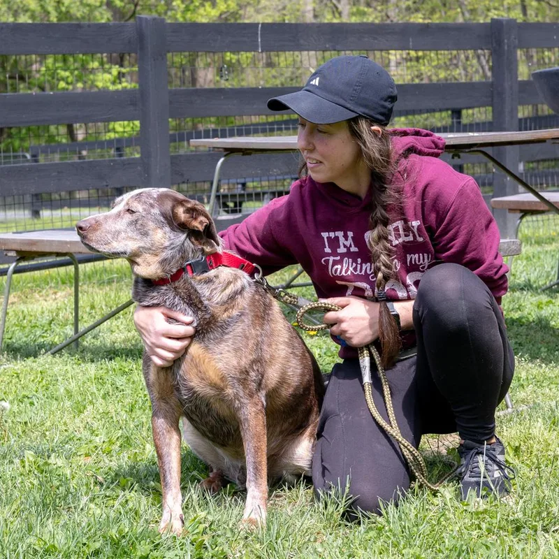 Major    thumbnail 4