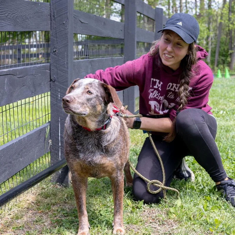 Major    thumbnail 5