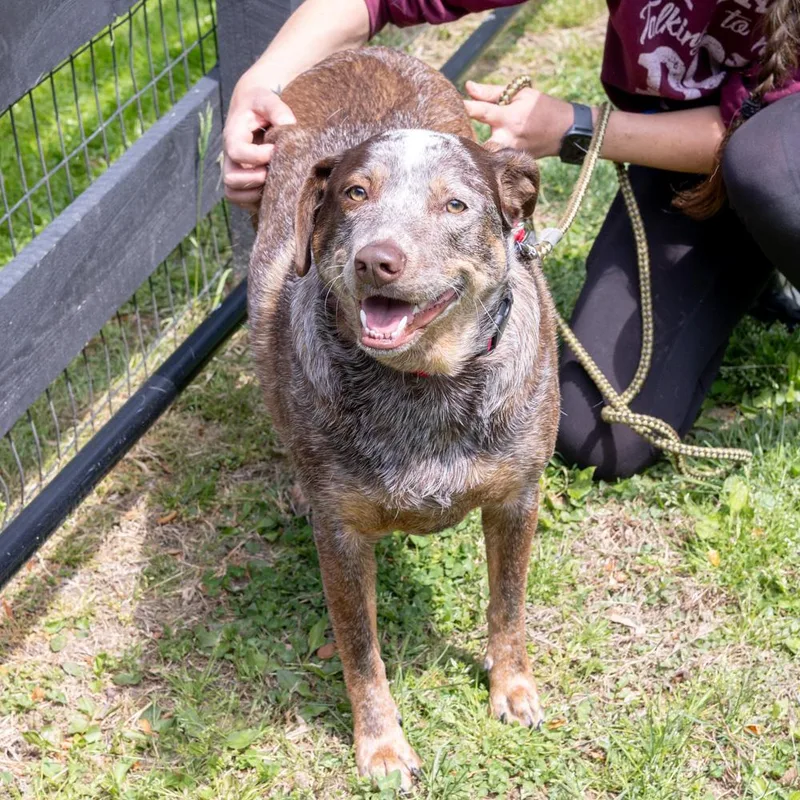 Major    thumbnail 6