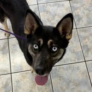 Skye
