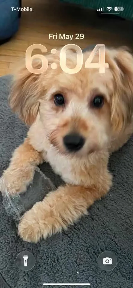 Tessie