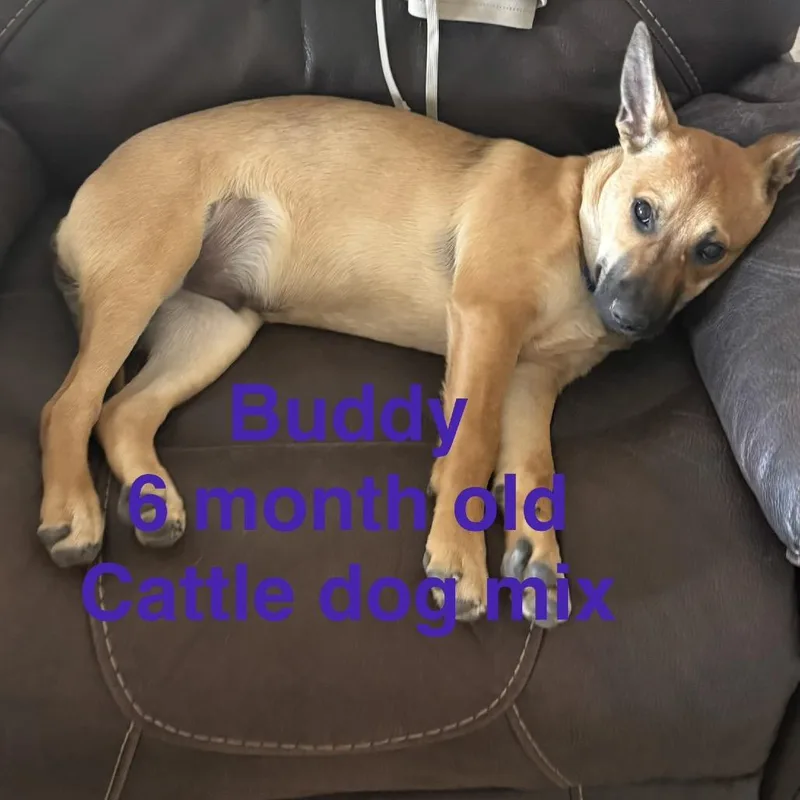 Hurricane Barry thumbnail 2