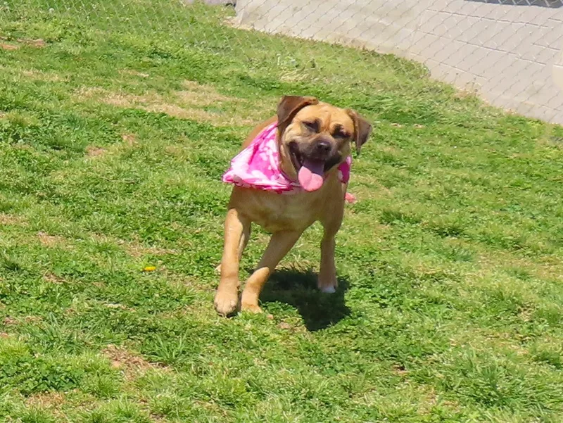 Molly  Cb thumbnail 3