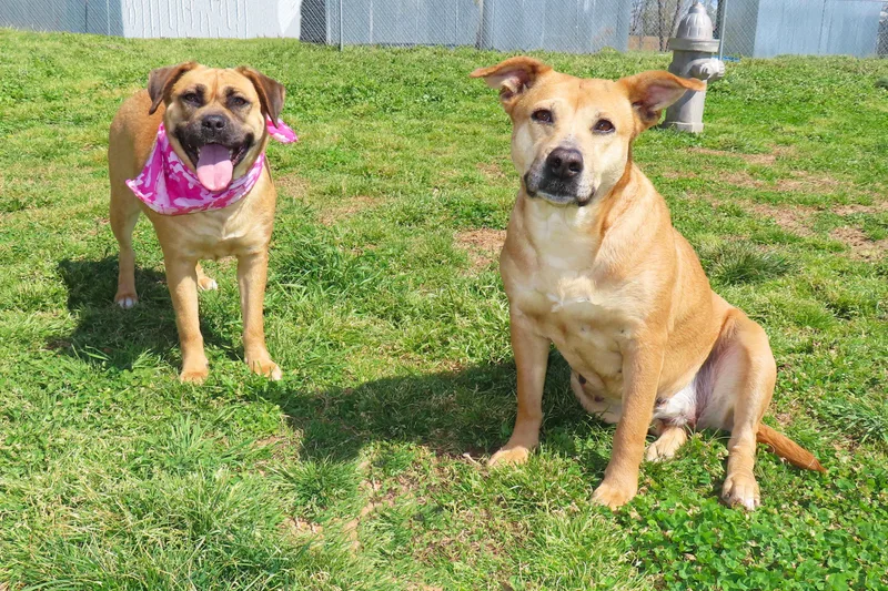 Molly  Cb thumbnail 5