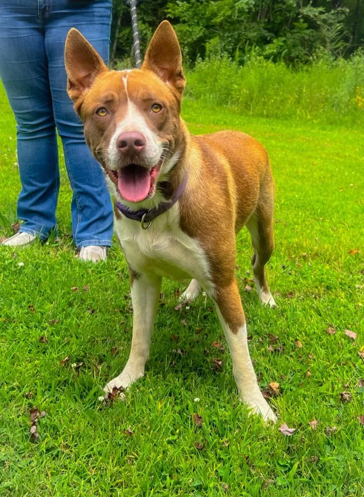 Kali