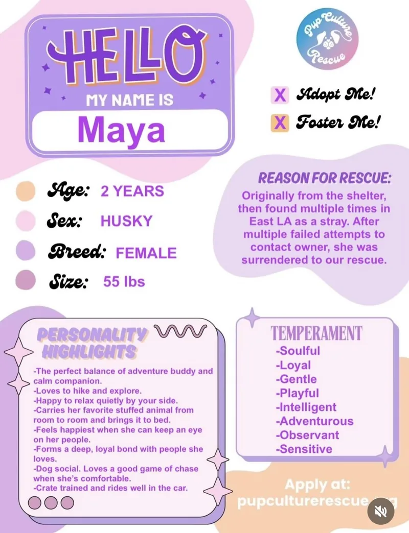 Maya thumbnail 3