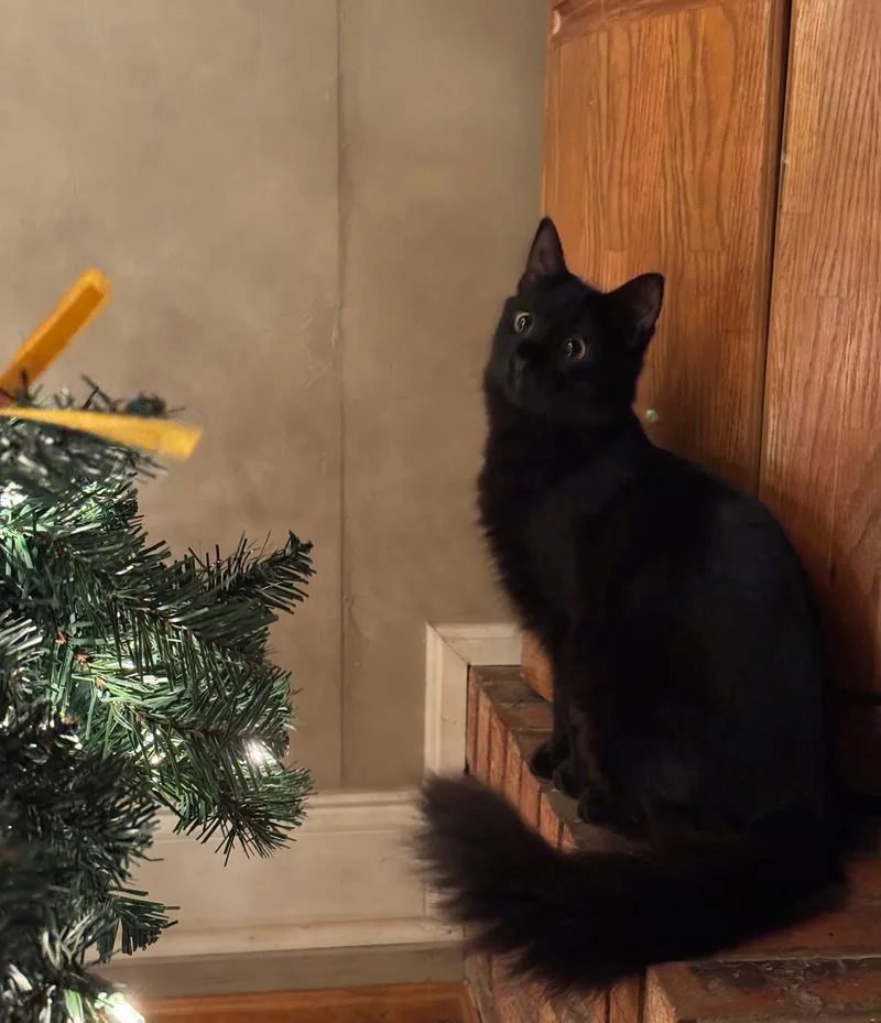 Sergio & Bean thumbnail 2