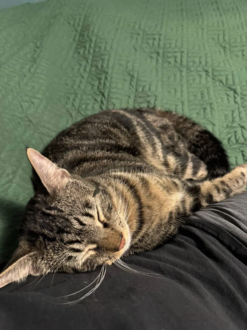 Sergio & Bean thumbnail 3