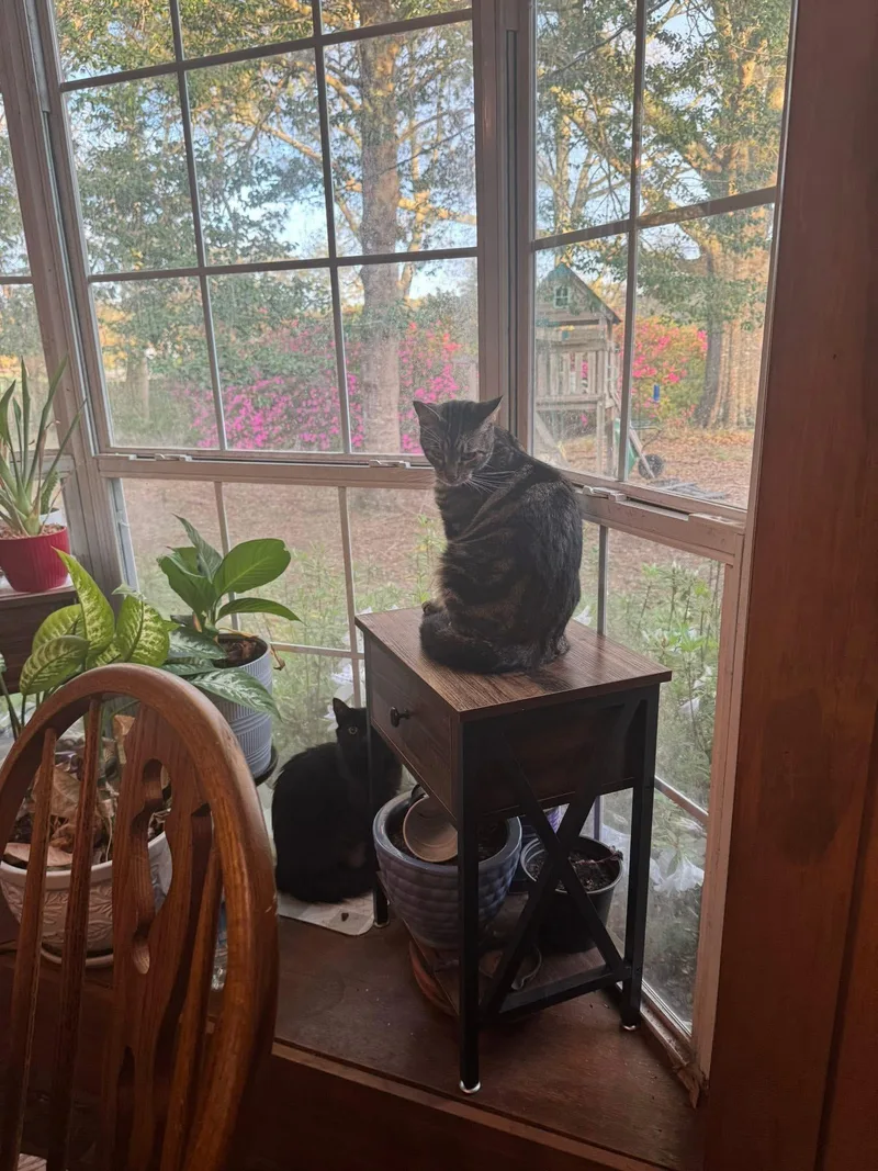 Sergio & Bean thumbnail 4