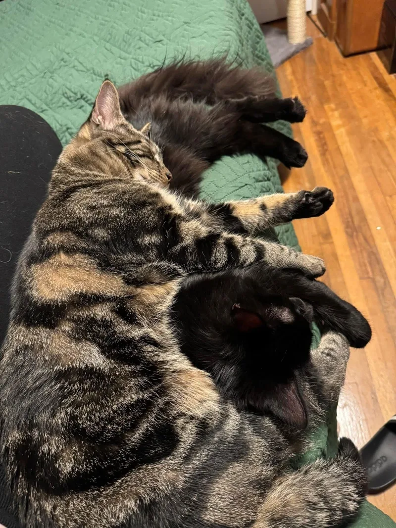 Sergio & Bean thumbnail 5