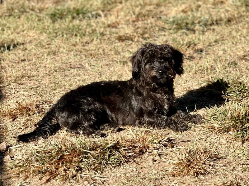 Blossom Apr thumbnail 2