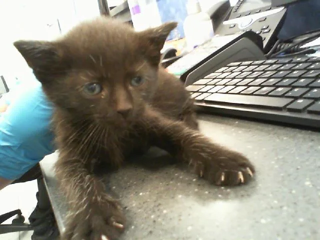 Timmy