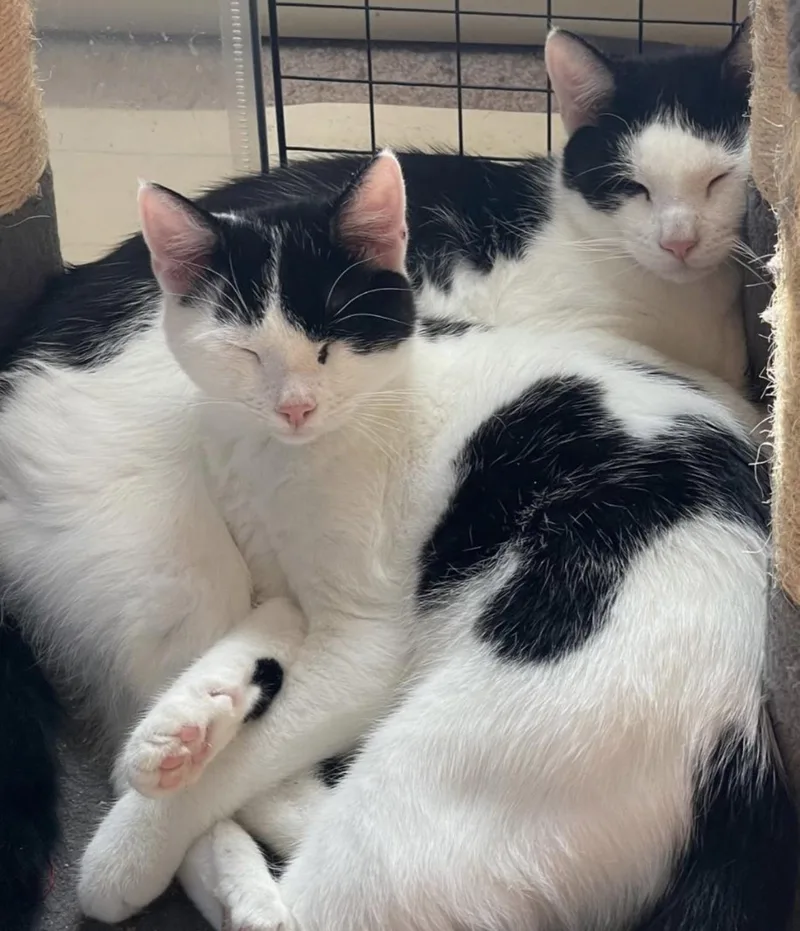 Shawn & Cory  thumbnail 2