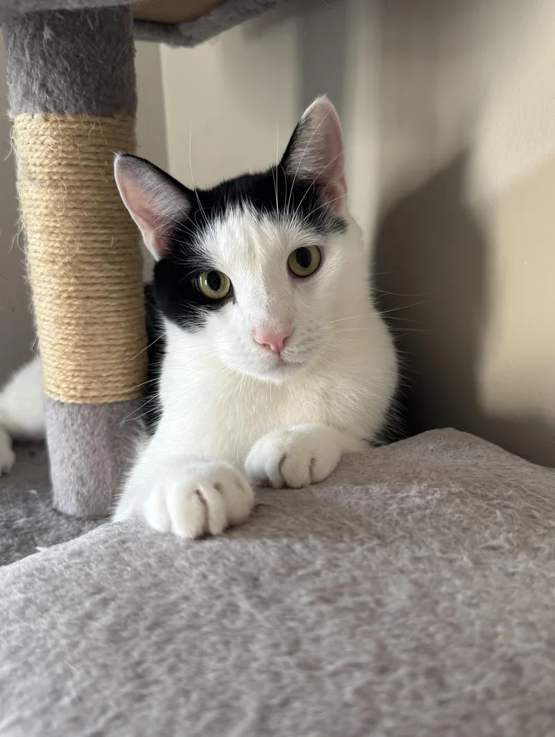 Shawn & Cory  thumbnail 3