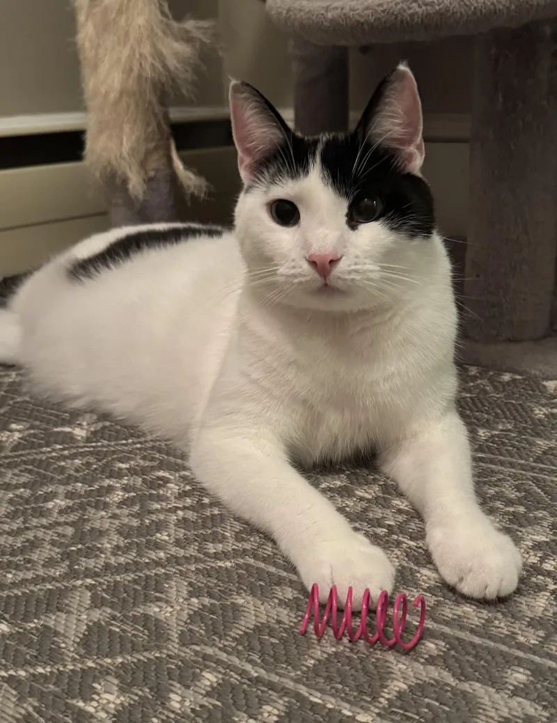 Shawn & Cory  thumbnail 4