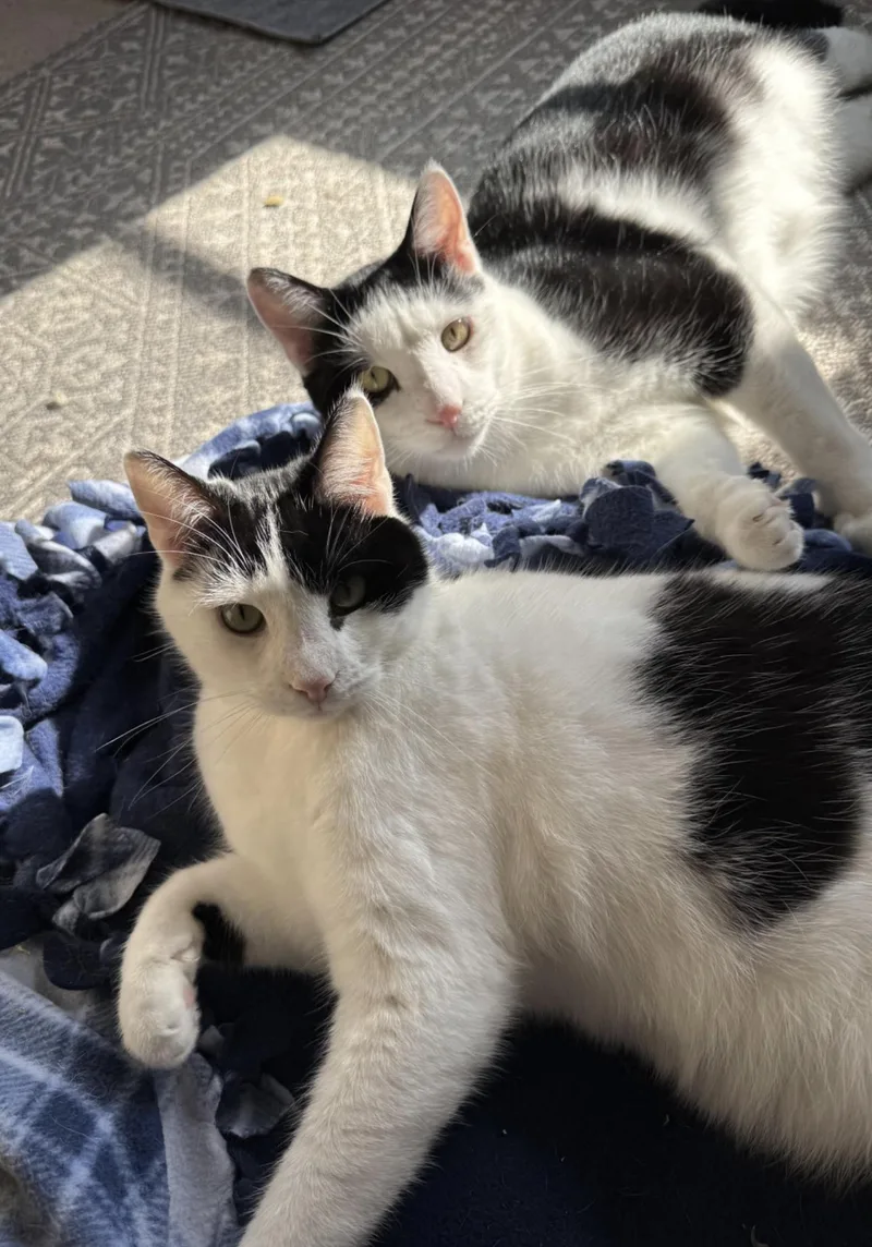 Shawn & Cory  thumbnail 5