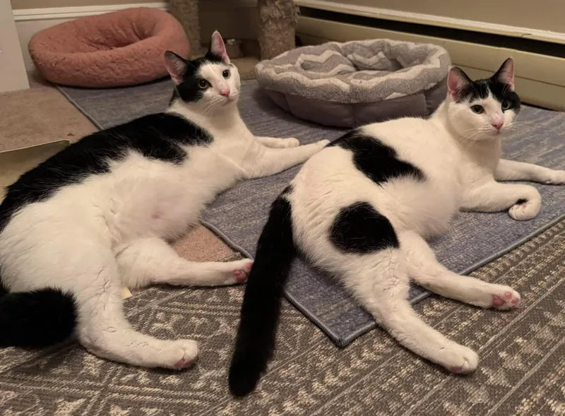 Shawn & Cory  thumbnail 6