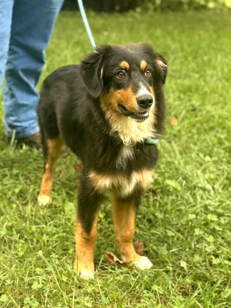 Luca
