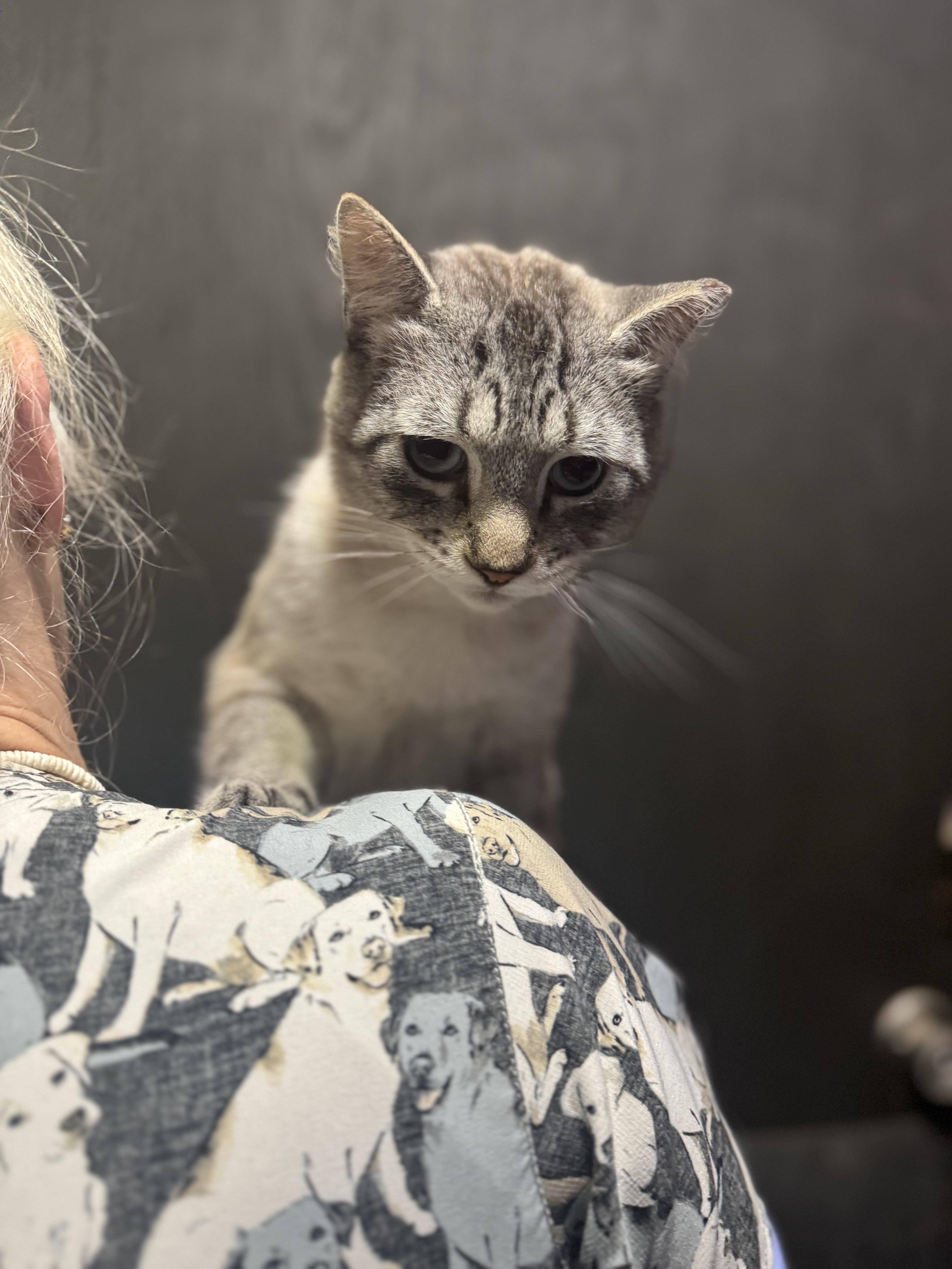 Parker & Sawyer thumbnail 2