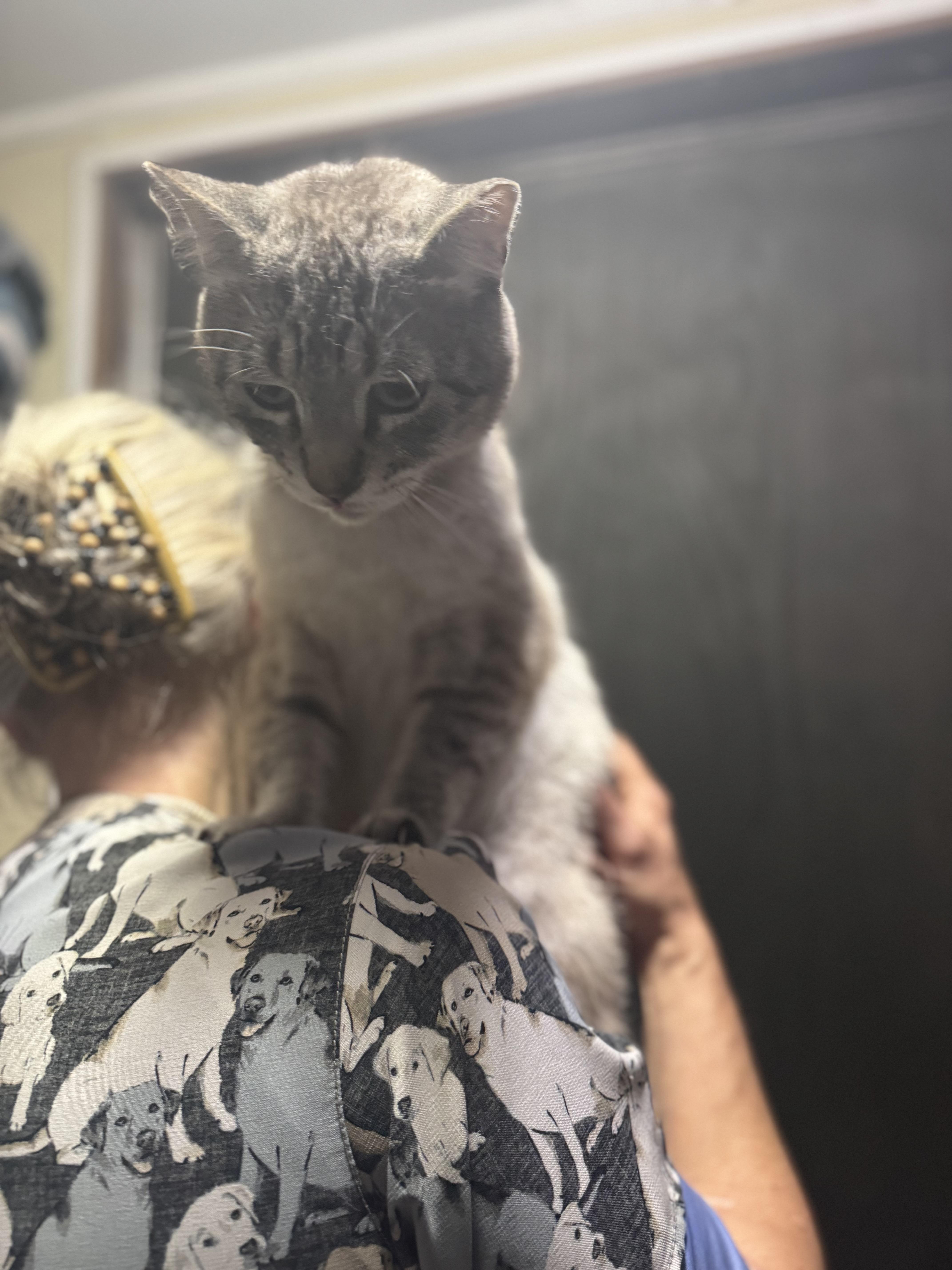 Parker & Sawyer thumbnail 3