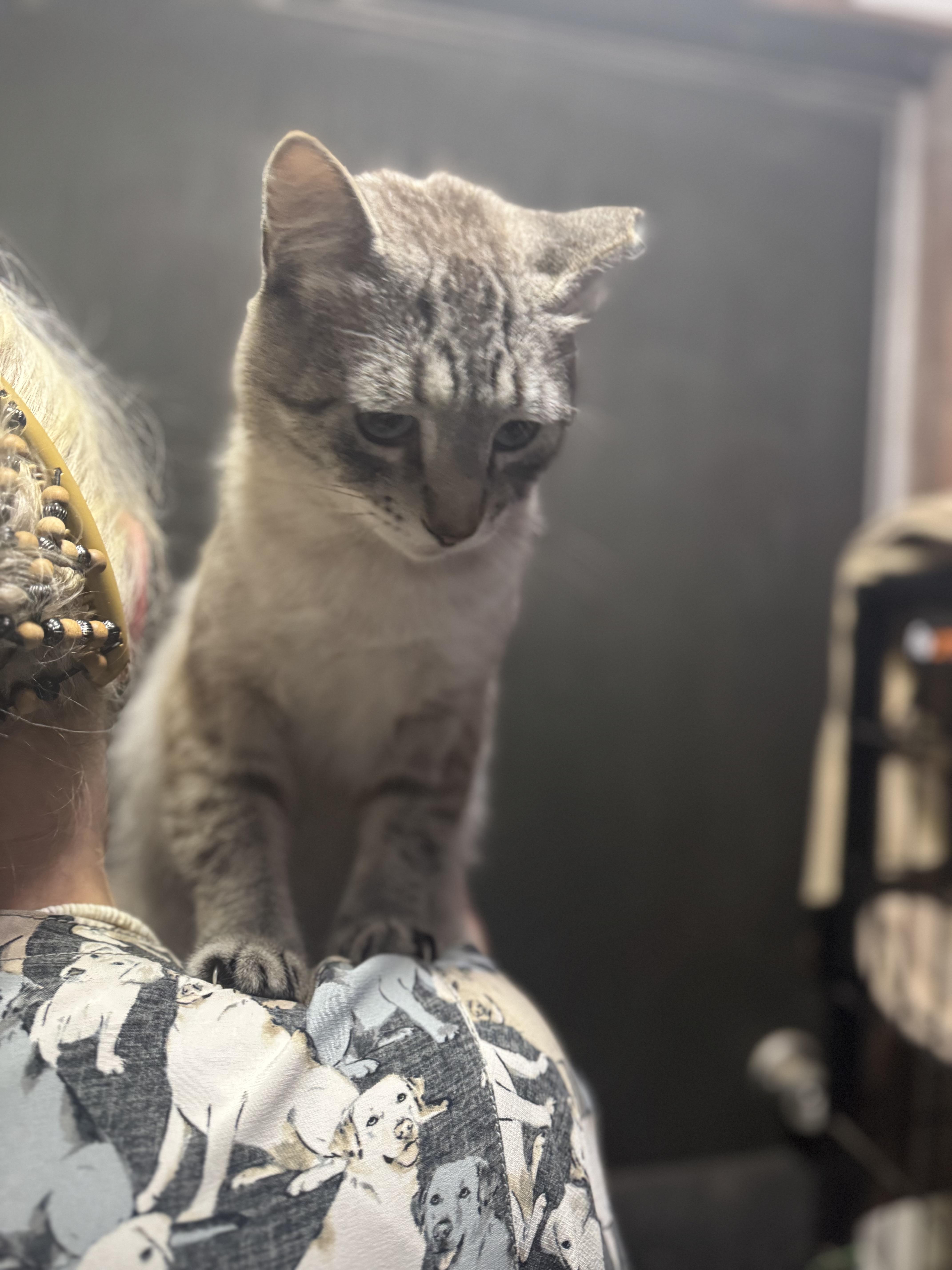 Parker & Sawyer thumbnail 4