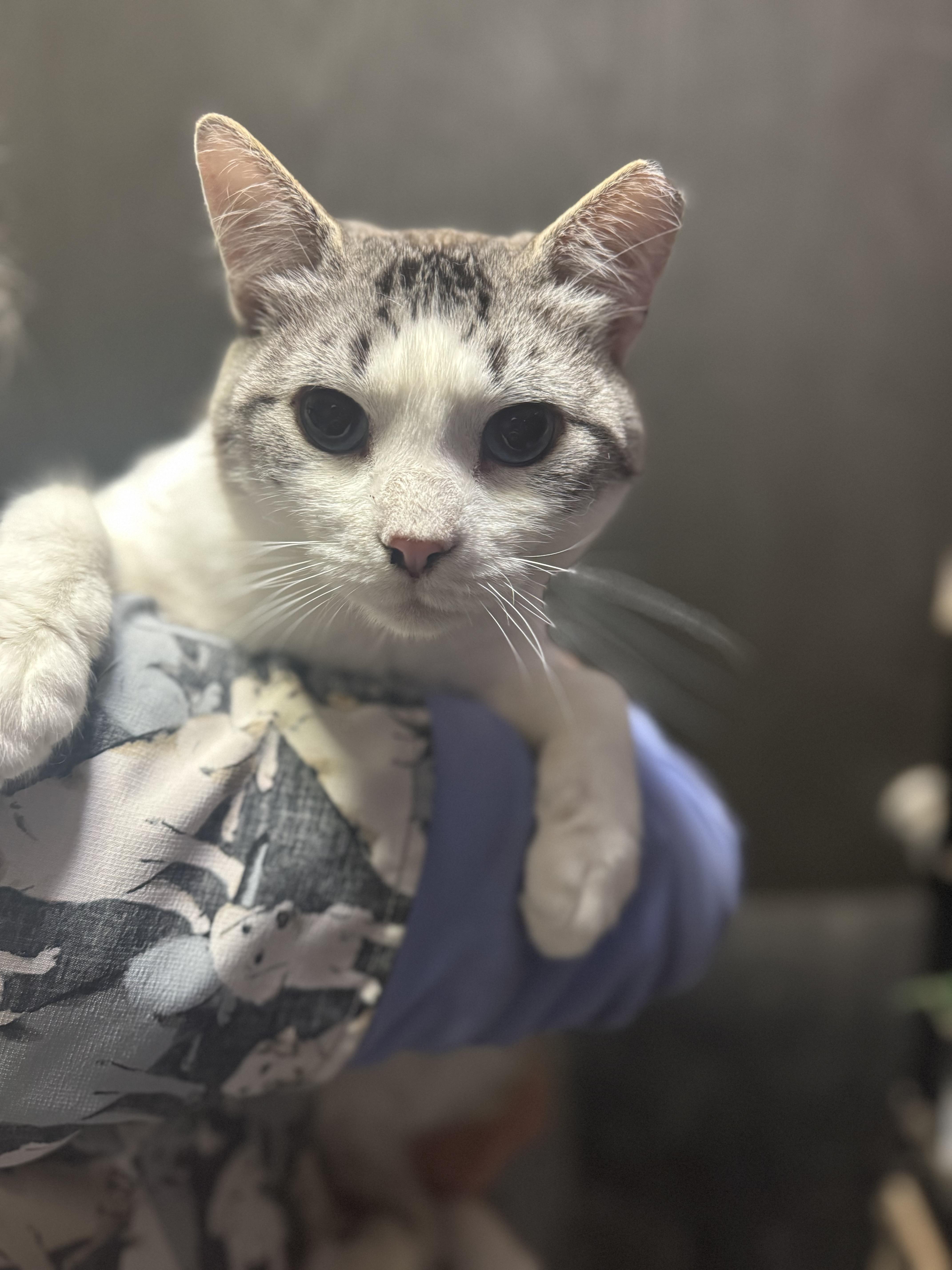 Parker & Sawyer thumbnail 5