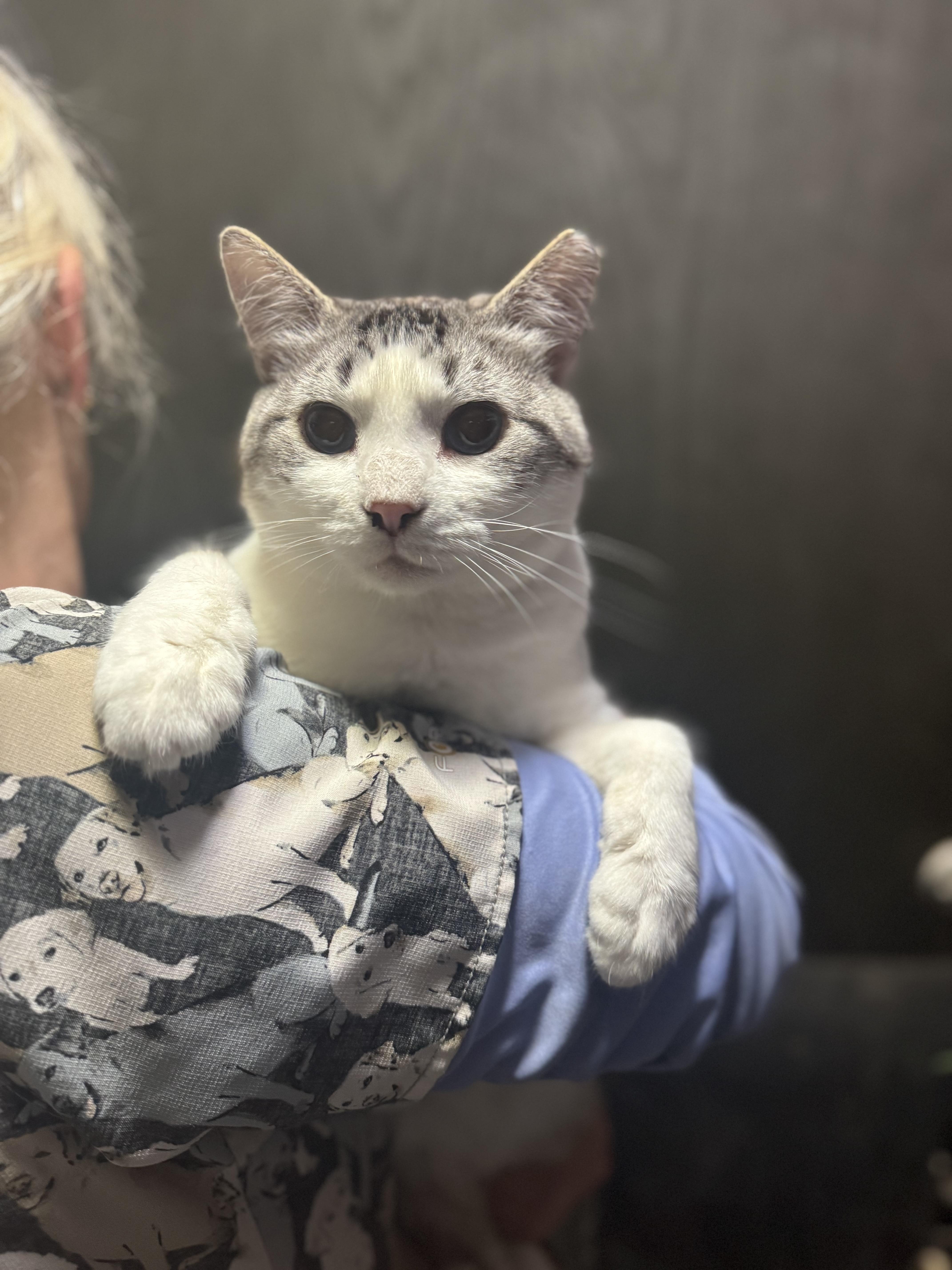 Parker & Sawyer thumbnail 6