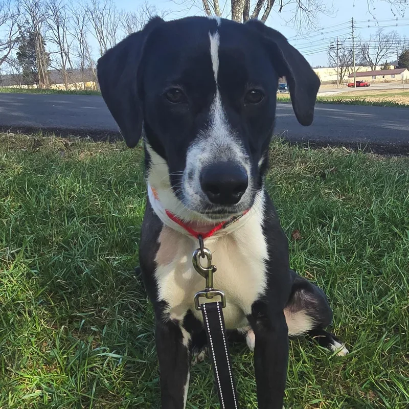 Clock Work thumbnail 2