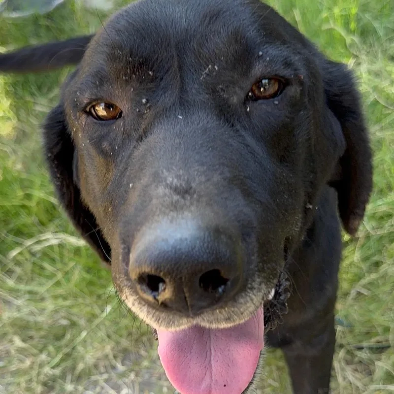 Wyatt thumbnail 2