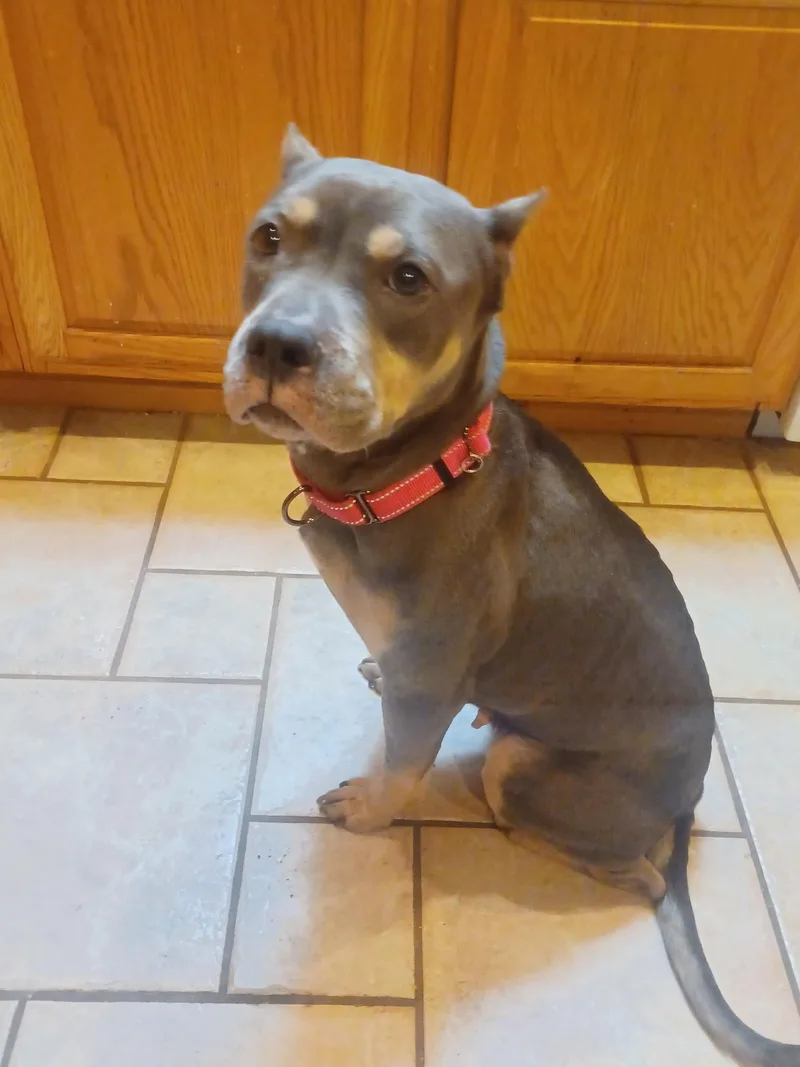 Lola thumbnail 2