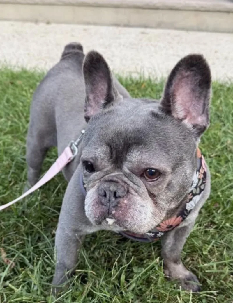 Esther thumbnail 2