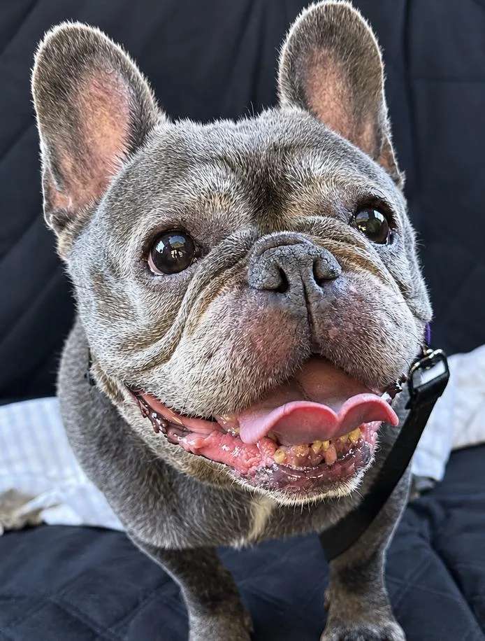 Esther thumbnail 3