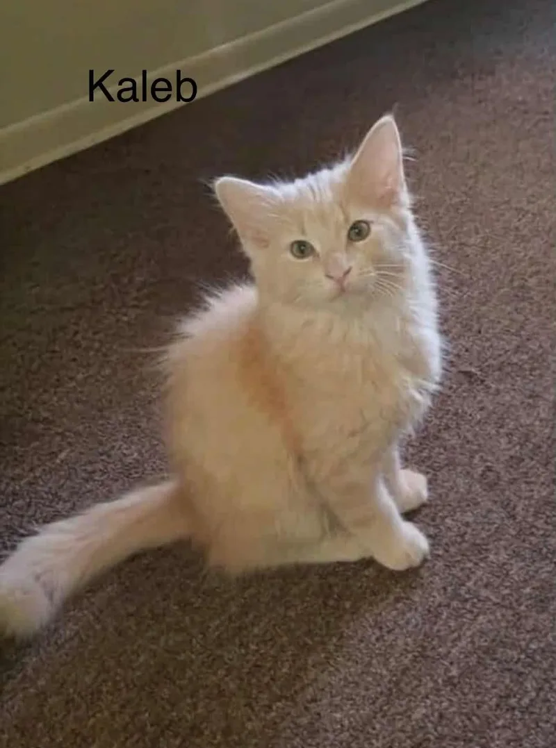 Kaleb thumbnail 2