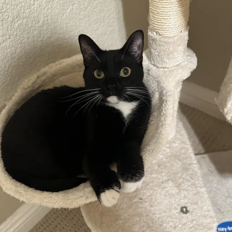 Madeline thumbnail 2