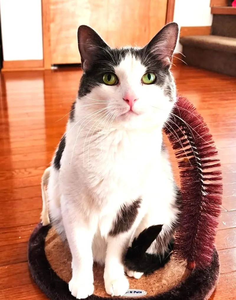 Chloe thumbnail 2