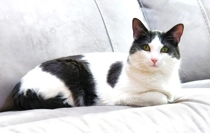 Chloe thumbnail 5